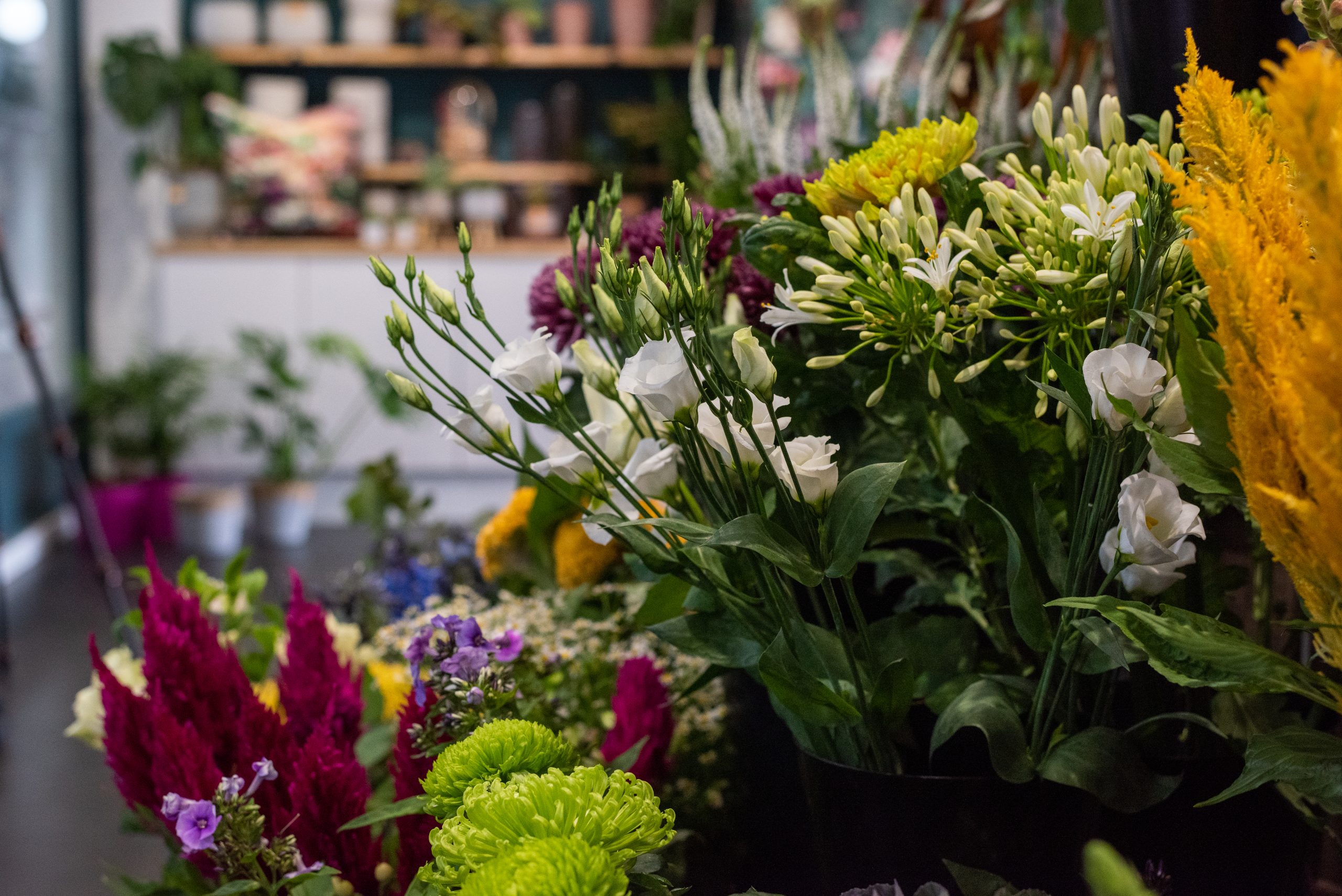 Fresh cut flowers at Flowers of Eastbourne