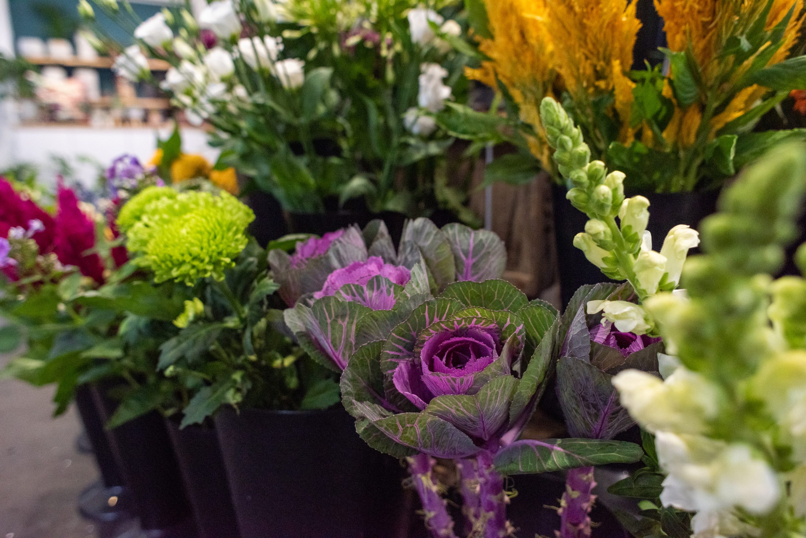 Fresh cut flowers at Flowers of Eastbourne